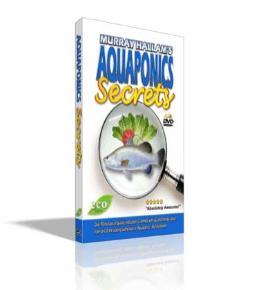 Filming Aquaponics Secrets