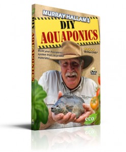 DIY Aquaponics with Murray Hallam