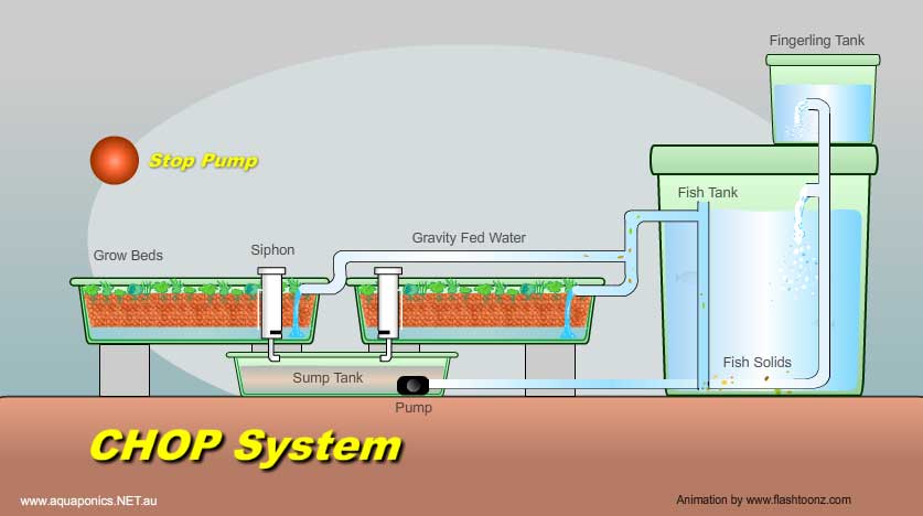 How an Aquaponics System Works: Animation