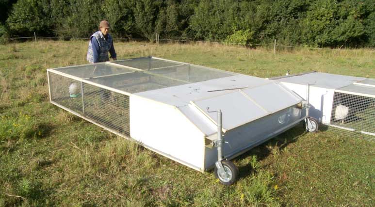 joel salatin chicken tractor image search results