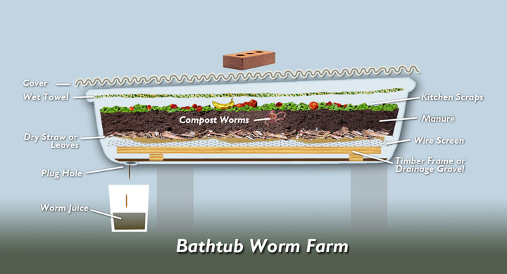 Building a Worm Farm in a Bathtub