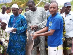 Catfish farming in Nigeria