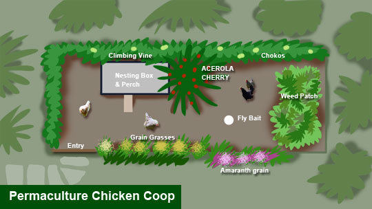Plan of Anne's Chicken Coop