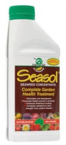Seasol Seaweed extract