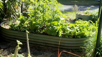 Raised Bed Compost Planter Bed