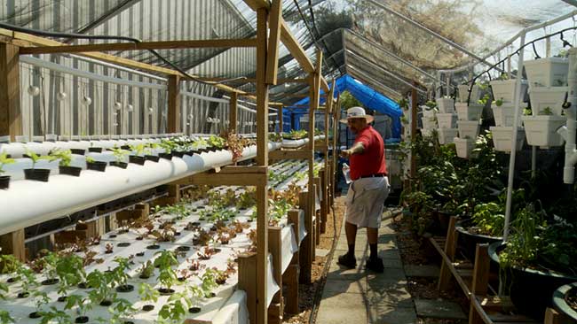  on Oct 11, 2011 in Aquaponics , Commercial Systems | 1 comment